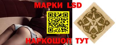 гидропоника Гусев