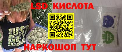 гидропоника Гусев