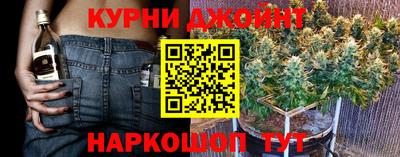 гидропоника Гусев