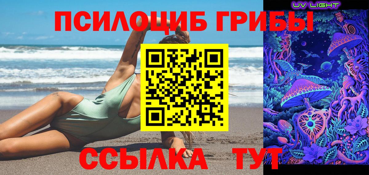 Псилоцибиновые грибы Magic Shrooms  Вход с VPN  Муравленко  Псилоцибиновые грибы Magic Shrooms 